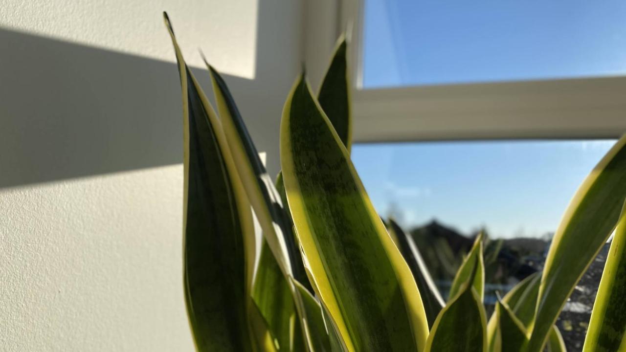 Villa Soholt - Silkeborg Bed And Breakfast المظهر الخارجي الصورة